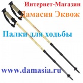 финская ходьба с палками обучение
